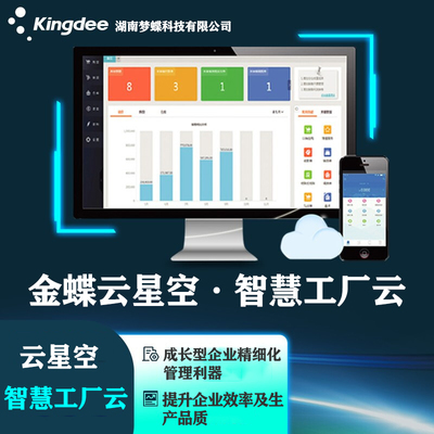 财务软件硬件系统研发 构建高效、安全与可靠的财务数字化基石